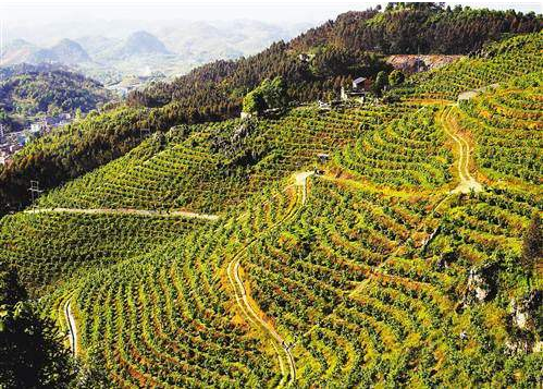 �С��Gɫ�Vɽ���lչ�v�̴���ӛ